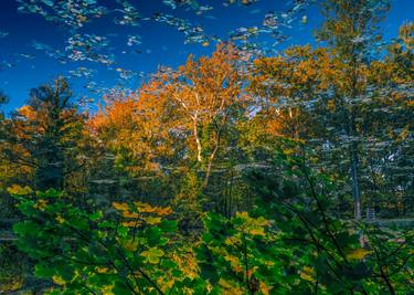 Original Abstract Landscape Photography by Igor Vitomirov