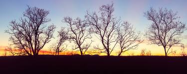 sunset trees thumb