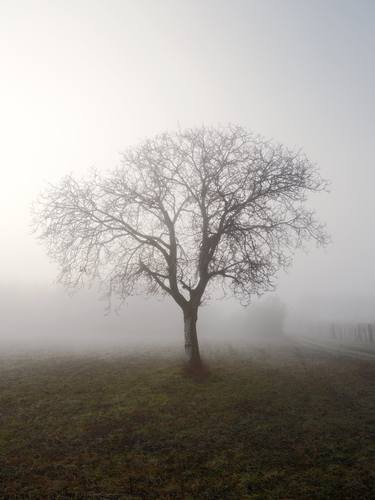 Original Documentary Landscape Photography by Igor Vitomirov