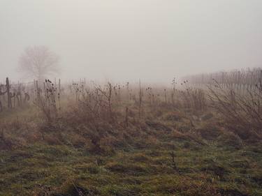 Original Documentary Landscape Photography by Igor Vitomirov