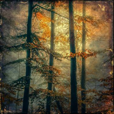 Original Abstract Landscape Photography by Igor Vitomirov