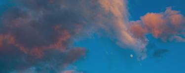 Original Documentary Nature Photography by Igor Vitomirov