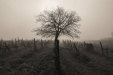 Original Documentary Landscape Photography by Igor Vitomirov