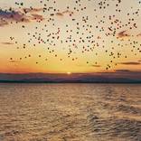 balloons over the sea#5 by Igor Vitomirov