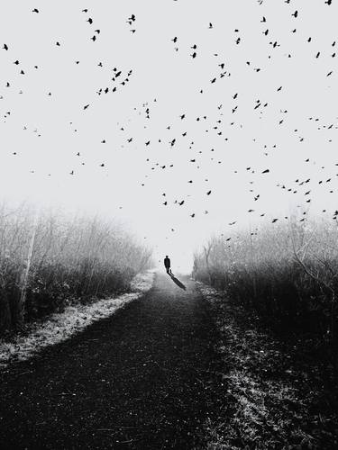 Saatchi Art Artist Igor Vitomirov; Photography, “Lonely Man” #art