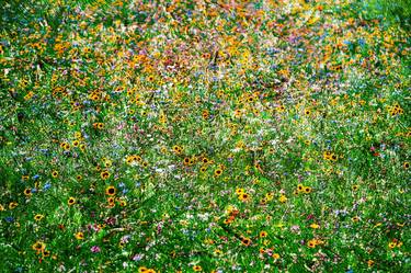 Flower Bed thumb