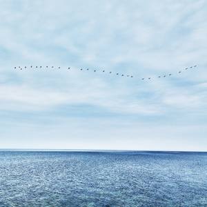 Art for Your Beach House