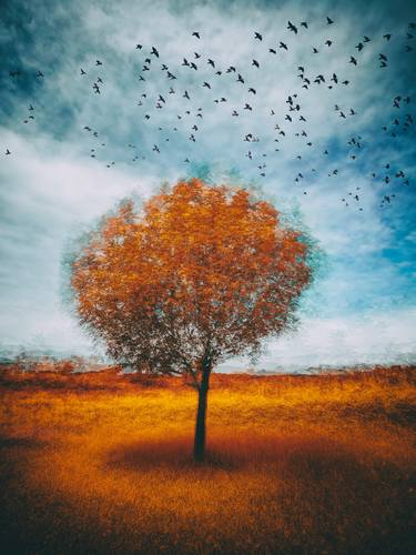 Print of Art Deco Tree Photography by Igor Vitomirov