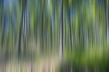 Forest in motion - Limited Edition 1 of 10 thumb