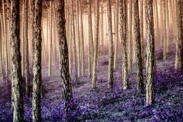 Print of Art Deco Tree Photography by Igor Vitomirov