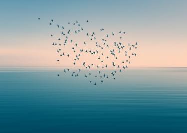 Seascape and Birds#1 - Limited Edition 1 of 20 image