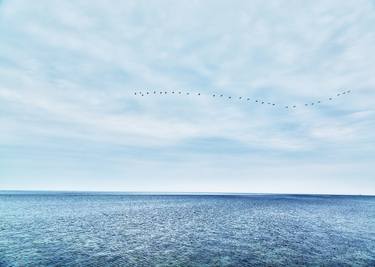 Sea and birds xx(canvas) - Limited Edition 1 of 20 thumb