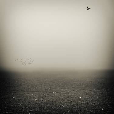 Birds in the mist#1 - Limited Edition 1 of 5 thumb