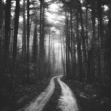 misty forest road - Limited Edition 1 of 10 thumb