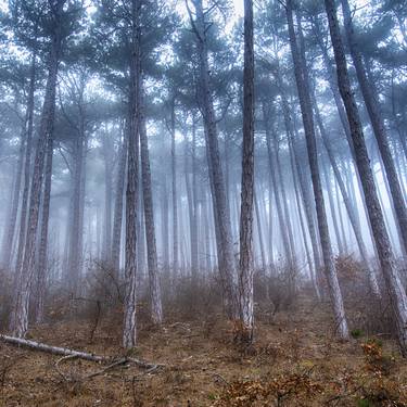 Original Art Deco Landscape Photography by Igor Vitomirov