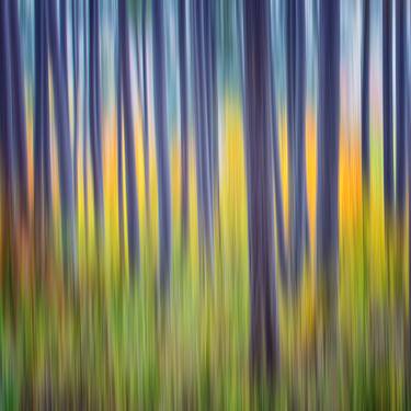 Original Abstract Photography by Igor Vitomirov