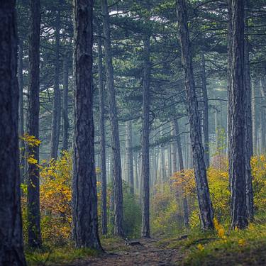 Print of Documentary Landscape Photography by Igor Vitomirov