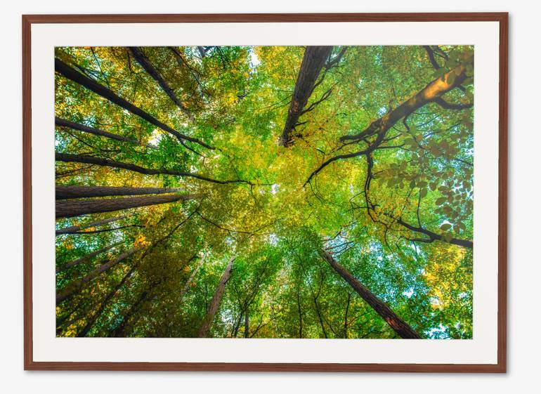 Original Documentary Landscape Photography by Igor Vitomirov