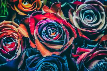 Print of Floral Photography by Igor Vitomirov