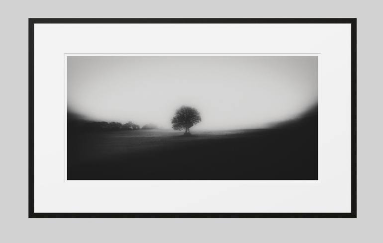 Original Fine Art Tree Photography by Igor Vitomirov