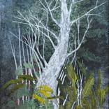 Sous-bois by Cécile Duchêne Malissin