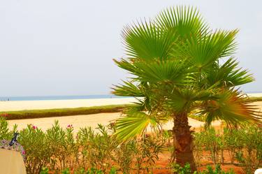 Original Fine Art Beach Photography by Peter Etchells