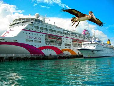 Brown Pelican flying over Ocean Village cruise ship thumb
