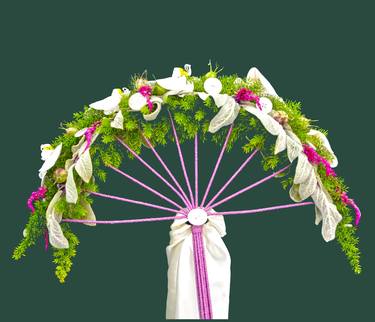 Original Digital Art Floral Photography by Peter Etchells