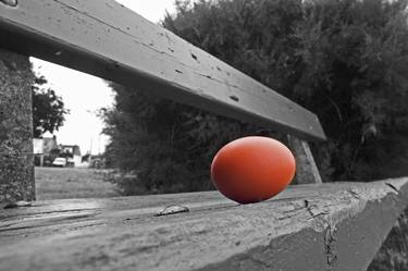 egg on the bench thumb