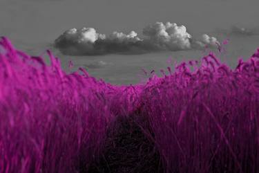 Original Surrealism Landscape Photography by Carlos Goldin