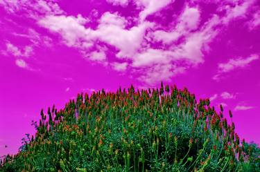 Sky Lavender - Limited Edition 1 of 5 thumb
