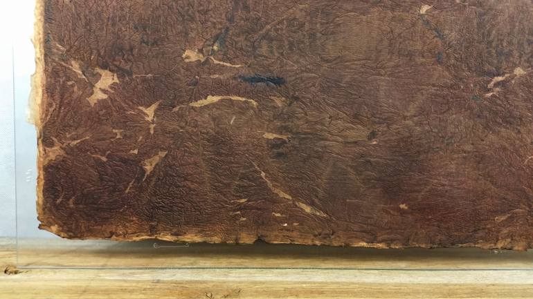 Original Expressionism Abstract Painting by Tomek Melak