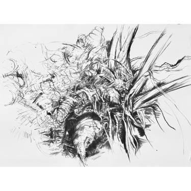 Original Botanic Drawings by Fiona Campbell