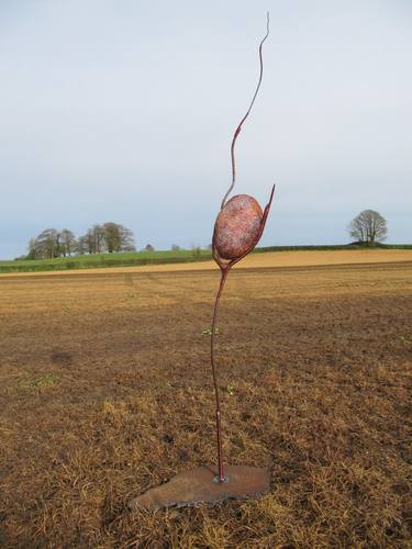 Original Abstract Nature Sculpture by Fiona Campbell