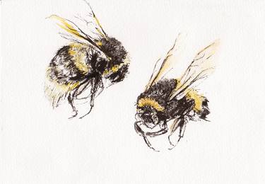 Print of Figurative Nature Drawings by Fiona Campbell
