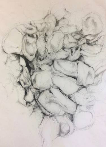 Original Figurative Nature Drawings by Fiona Campbell