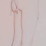 Collection Eric Paddock (curator)