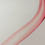 untitled (neck) by Aaron Mcelroy