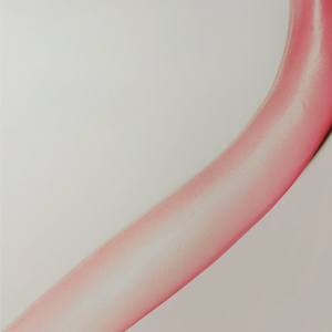 untitled (neck)