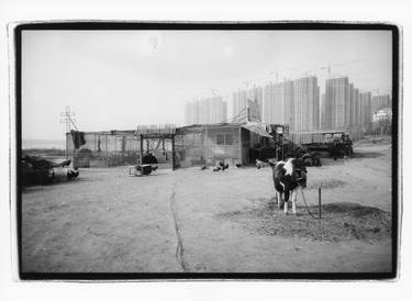 Print of Documentary Landscape Photography by Bo Chen