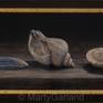 3 Seashells