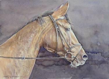 Print of Figurative Horse Paintings by Marty Garland