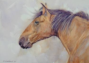 Original Fine Art Horse Paintings by Marty Garland