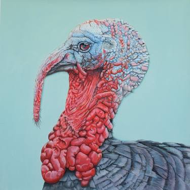 Turkey portrait thumb