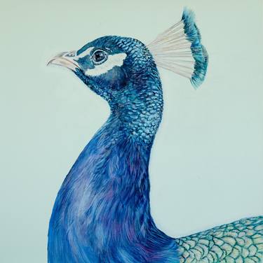 Print of Fine Art Animal Paintings by Marty Garland