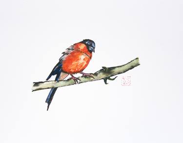 Bullfinch 紅腹灰雀 thumb