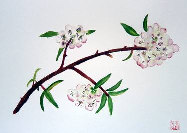 Original Floral Paintings by YVONNE KOO