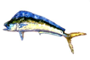 Print of Fish Paintings by Steve Gibson