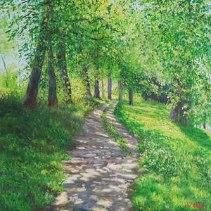 Willows on the riverside