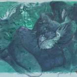 Collection Exaltation